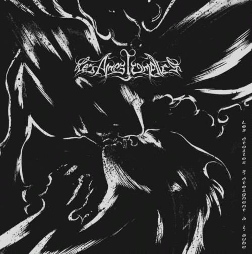 Les Étoiles s'Éteignent à l'Aube